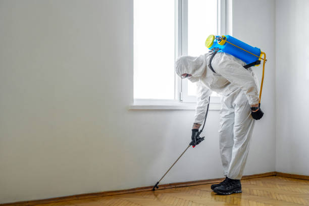 Pest Control for Hotels in West Siloam Springs, OK